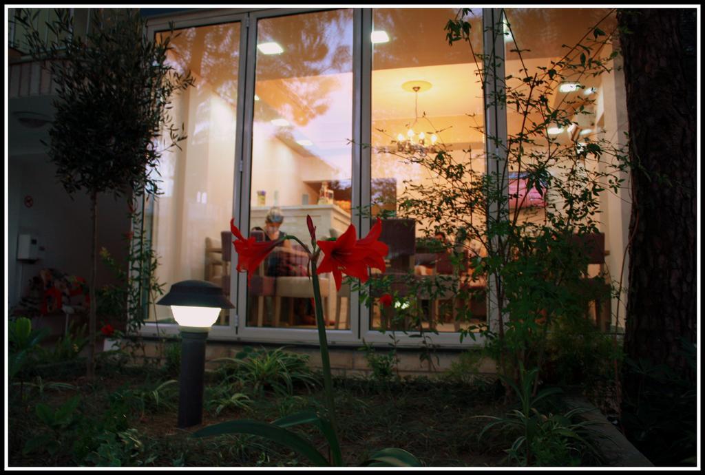 Hotel Princi I Vogel Velipojë エクステリア 写真