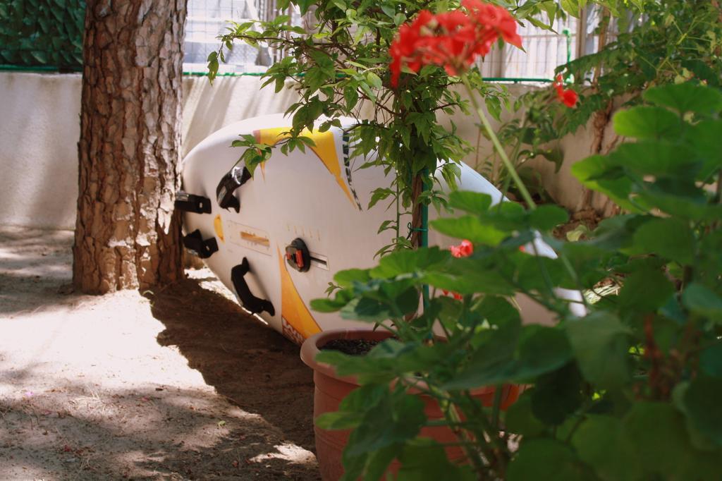 Hotel Princi I Vogel Velipojë エクステリア 写真