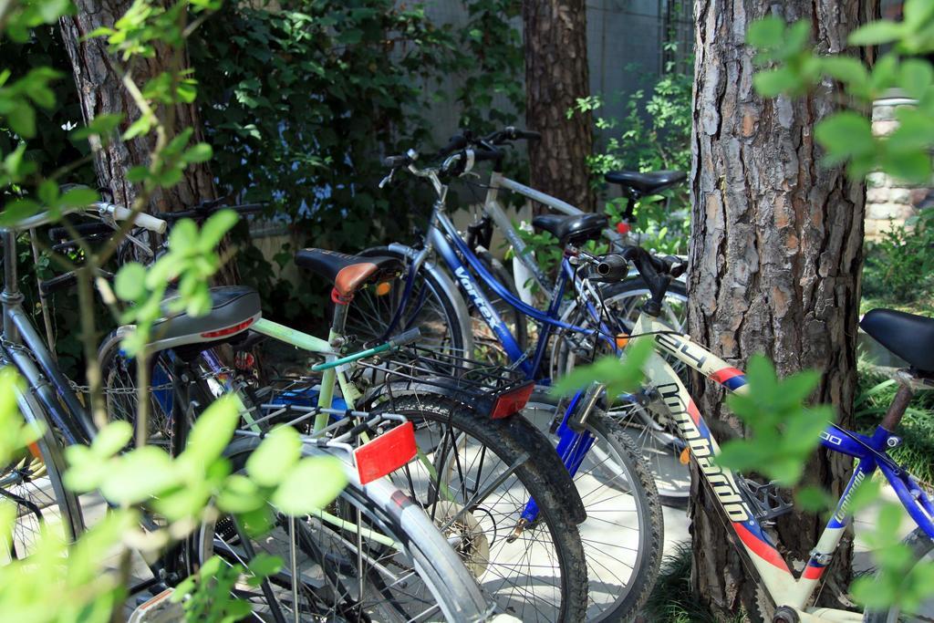 Hotel Princi I Vogel Velipojë エクステリア 写真